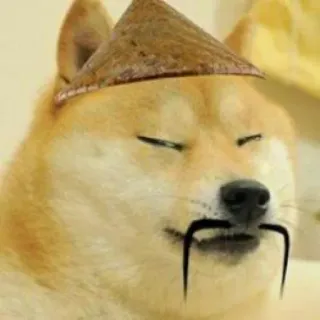 😑 Doge doge, meme, hond, chinese hoed, aziatisch stereotype telegram sticker