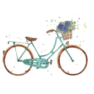 🏍 vélo, fleurs, bicyclette, panier, vintage, floral, transport whatsapp sticker