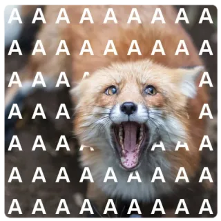 😨 AAAAAAAAAAAAAAA
AAAAAAAAAAAAAAAAA
AAAAAAAAAAAAA
AAAAAAAAAAAAA
AAAAAAAAAAAAAAA
AAAAAAAAAAAAAAA
AAAAAAAAAAAAAAA fox, animal, wildlife, meme, letter, aaaaaaaa telegram sticker
