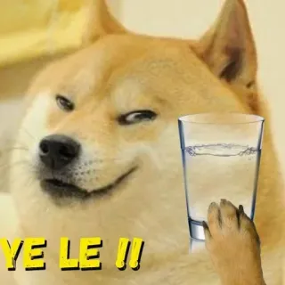 🚰 Doge YE LE !!! Doge, Meme, Perro, Agua, Bebida, Divertido telegram sticker