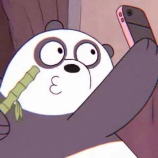 🧸 Panda We Bare Bears Панда, Мы обычные медведи, Мультфильм, Селфи, Животное, Медведь whatsapp sticker