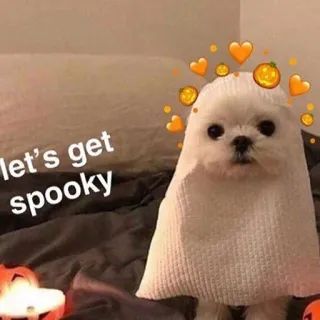 ❤️ let's get spooky chien, fantôme, halloween, effrayant, mignon, animal de compagnie, coeurs, citrouille telegram sticker
