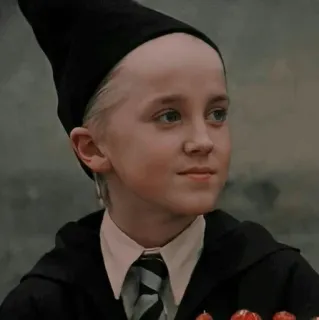 🐾 Draco Malfoy Harry Potter 드레이코 말포이, 해리 포터, 아이, 초상화, 마법사 telegram sticker