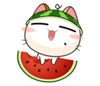 🍉 cat, watermelon, cute, cartoon, kawaii, sticker telegram sticker