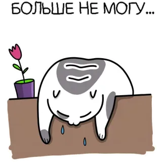 ⚰️ БОЛЬШЕ НЕ МОГУ... แมว, หมดแรง, เหนื่อย, ดอกไม้, เศร้า, รัสเซีย telegram sticker