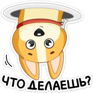 🥎 ЧТО ДЕЛАЕШЬ? cachorro, corgi, de cabeça para baixo, russo, pergunta telegram sticker