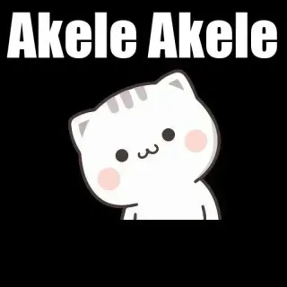 🤨 Akele Akele gato, lindo, kawaii, animal, dibujo animado, pegatina telegram sticker