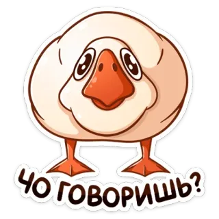 ❔ ЧО ГОВОРИШЬ? goose, bird, animal, cartoon, question whatsapp sticker