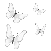🦋