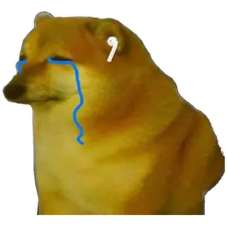 😭 cheems cane, triste, piangere, meme, Cheems, AirPods telegram sticker