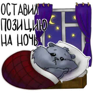 😬 ОСТАВИЛ ПОЗИЦИЮ НА НОЧЬ ハムスター, 睡眠, 夜, 可愛い, 動物, ベッド telegram sticker
