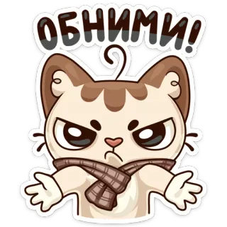 😠 обними! cat, angry, scarf, cute, sticker, cartoon, animal whatsapp sticker