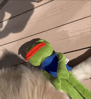 😥 Pepe the Frog pepe, sapo, meme, meme da internet, pelúcia, boneca whatsapp sticker