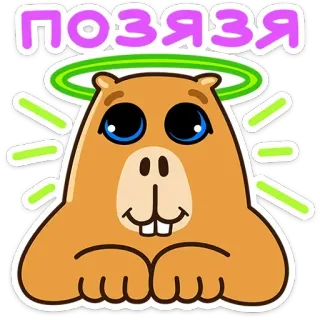 😇 ПОЗЯЗЯ dier, capibara, schattig, cartoon, halo telegram sticker