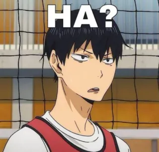 🏐 HA? anime, ha, question, character telegram sticker