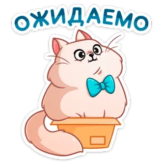 😐 ОЖИДАЕМО кот, коробка, милый, ждёт, стикер, смешной, очаровательный telegram sticker