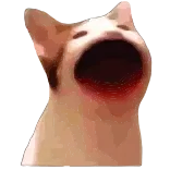 Popping Cat | @Premium_Emojis_Telegram telegram emojis 😼