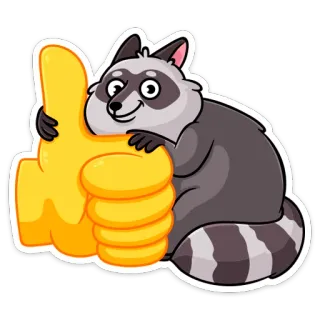 👍 rakun, jempol ke atas, binatang, kartun, persetujuan, suka telegram sticker