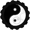 ☯️