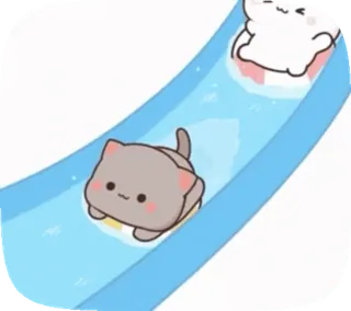 🌊 gatto, scivolo, carino, kawaii, acquascivolo telegram sticker