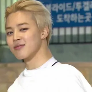 🦋 브라이드/투굘리 도착하는 곳 k-pop, чимин, bts whatsapp sticker