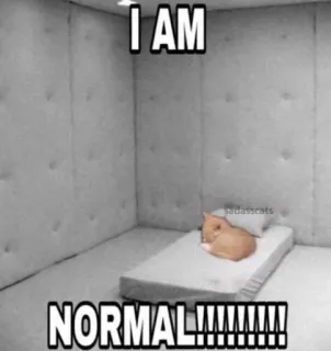 👩‍⚕️ cat I AM NORMAL!!!!!! telegram sticker