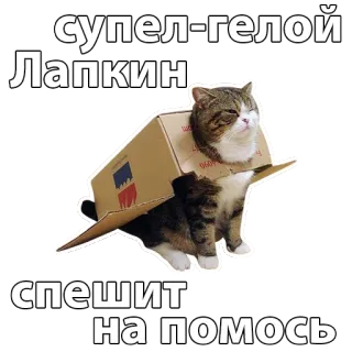 🏃 супел-гелои
Лапкин
спешит
на помощь cat, animal, sticker, pet, funny whatsapp sticker