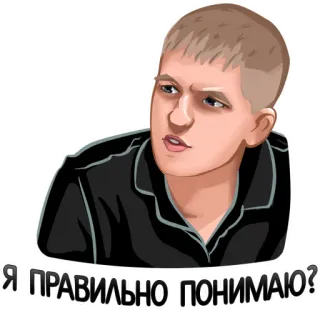 🧐 Я ПРАВИЛЬНО ПОНИМАЮ? telegram sticker