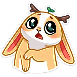 😬 lindo, pegatina, animal, dibujos animados, conejo, kawaii telegram sticker