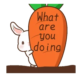 ⭐ What are you doing กระต่าย, แครอท, น่ารัก, สัตว์, ตลก, คำถาม telegram sticker