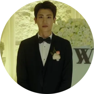 😇 hombre, traje, boda, novio, pajarita, ropa formal telegram sticker