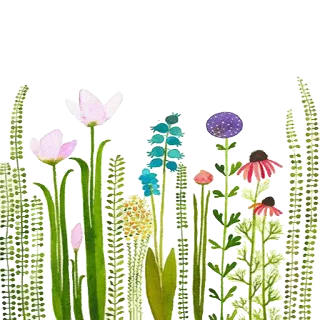 🌷 flores, plantas, floral, acuarela telegram sticker
