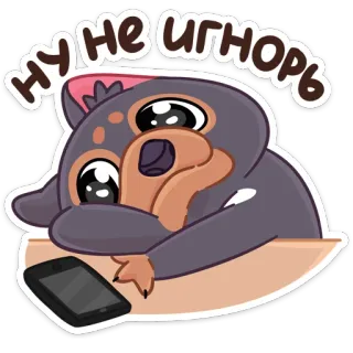 ☹️ Ну не игнорь Hund, süß, Welpe, Handy, ignorieren, betteln, Cartoon whatsapp sticker
