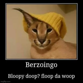 🐱 Berzoingo
Bloopy doop? floop da woop Katze, Meme, lustig, Tier, Floppa telegram sticker