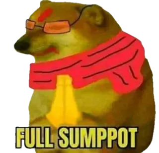 🙏 FULL SUMPPOT doge, pies, mem, naklejka telegram sticker