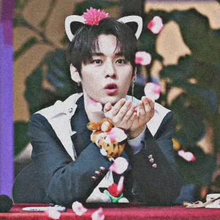 🥀 K-pop, Idol, Telinga kucing, Bunga, Lucu, Asia telegram sticker
