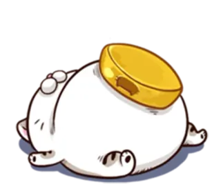 🍚 Katze, faul, süß, Aufkleber, schlafend, entzückend, Katzenartig whatsapp sticker