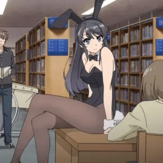 🐇 Mai Sakurajima Rascal Does Not Dream of Bunny Girl Senpai Anime, Bunny Girl, Bibliothèque, Sakurajima, Mai telegram sticker