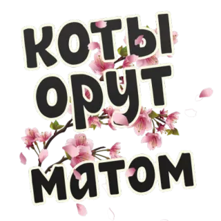 🐱 КОТЫ ОРУТ МАТОМ 猫, ロシア語, 汚い言葉, わいせつ telegram sticker