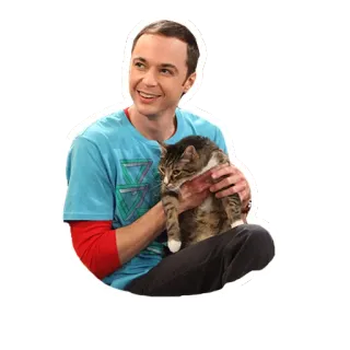 😸 Sheldon Cooper The Big Bang Theory sitcom, cat, tv show, nerd, science telegram sticker