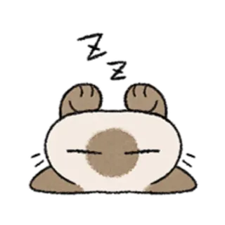 😺 zzZZ dormindo, gato, animal, sonolento, fofo telegram sticker