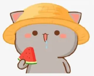 🍉 cat, watermelon, hat, cute, summer, kawaii whatsapp sticker