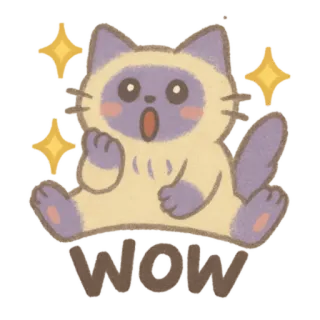🐈‍⬛ Wow chat, mignon, animal, surpris, étoiles whatsapp sticker