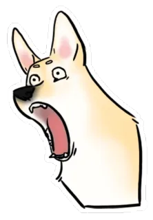 😱 anjing, terkejut, kaget, kartun, hewan, meme telegram sticker