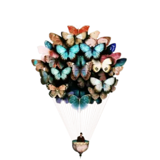 💓 vlinders, boeket, man, portret, decoratief, illustratie telegram sticker