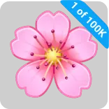 🎁 1 of 100K ดอกไม้, ซากุระ, ดอกซากุระ, สีชมพู, รุ่นลิมิเต็ด telegram sticker