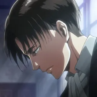 😒 Levi Ackerman Attack on Titan Anime, Levi, Ataque dos Titãs, Mangá, Personagem telegram sticker