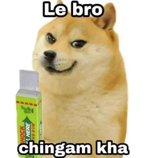 ⛈️ Doge Doge Meme Le bro chingam kha doge, meme, chewing gum, humor, dog, le bro, funny telegram sticker