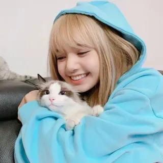 Lisa ❤️ @chxin_user telegram stickers