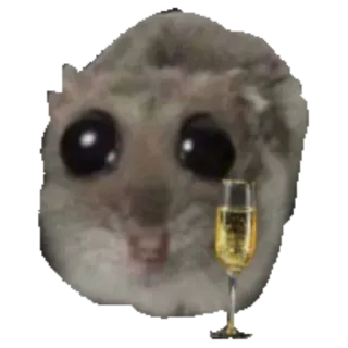 🥂 mouse mouse, cute, champagne, cheers, celebration, meme, rodent telegram sticker